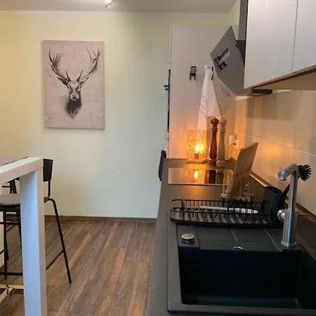 Teutoblick Leeden Apartament